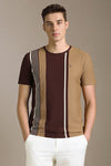 Men Brown Stripe Crew Neck T-shirt